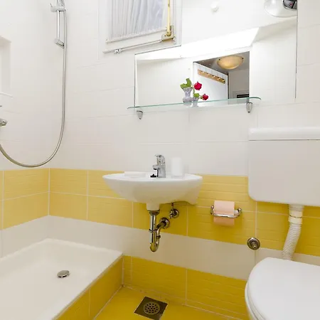 Apartament Srdjan *